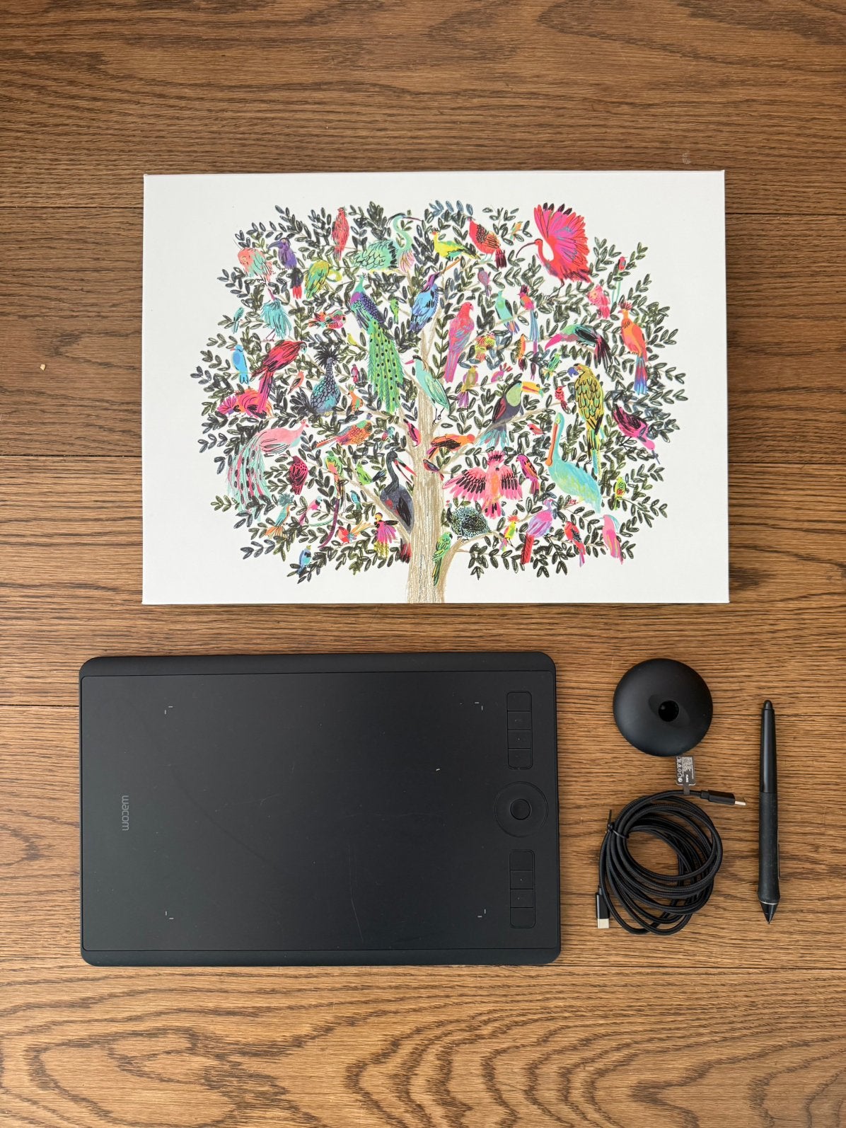Wacom Intous Pro M, Ophalen of Verzenden, Zo goed als nieuw