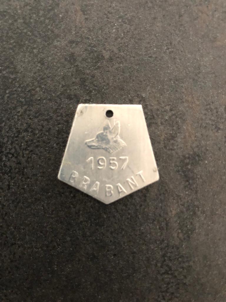 Hondenpenning 1957 Brabant Met nummer op achterkant., Verzenden, Nieuw