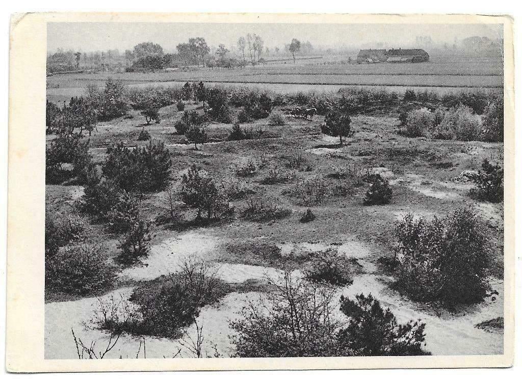 AK Vorstenbosch - Landschap bij Vorstenbosch, Verzenden, 1940 tot 1960, Ongelopen, Noord-Brabant