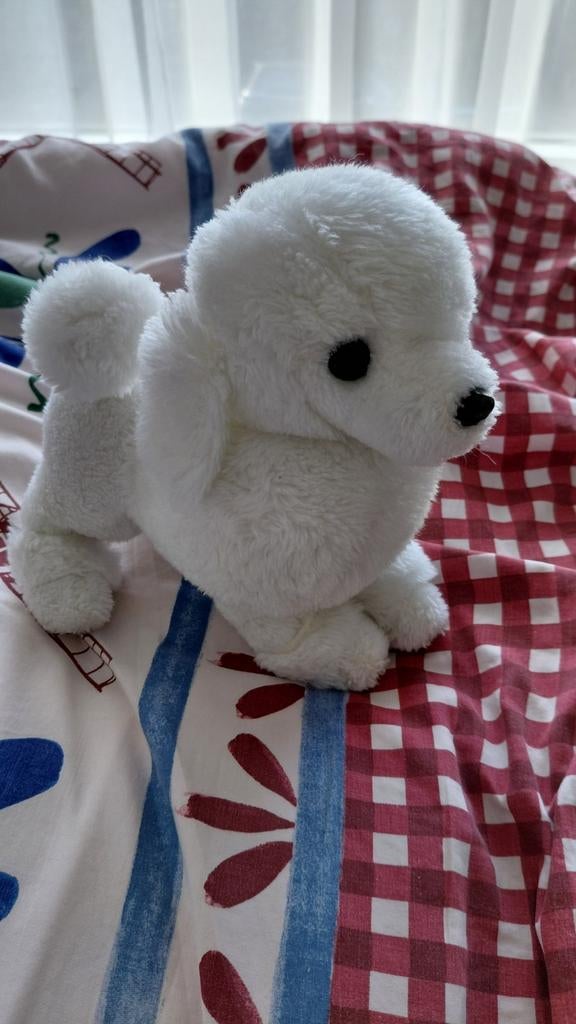 Schattig wit hondje knuffel, Kinderen en Baby's, Speelgoed | Knuffels en Pluche, Ophalen of Verzenden, Zo goed als nieuw, Hond