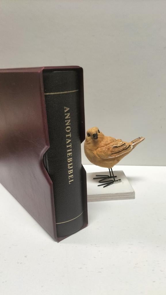 Bijbel. Annotatiebijbel Statenvertaling, Ophalen of Verzenden, Gelezen, Christendom | Protestants