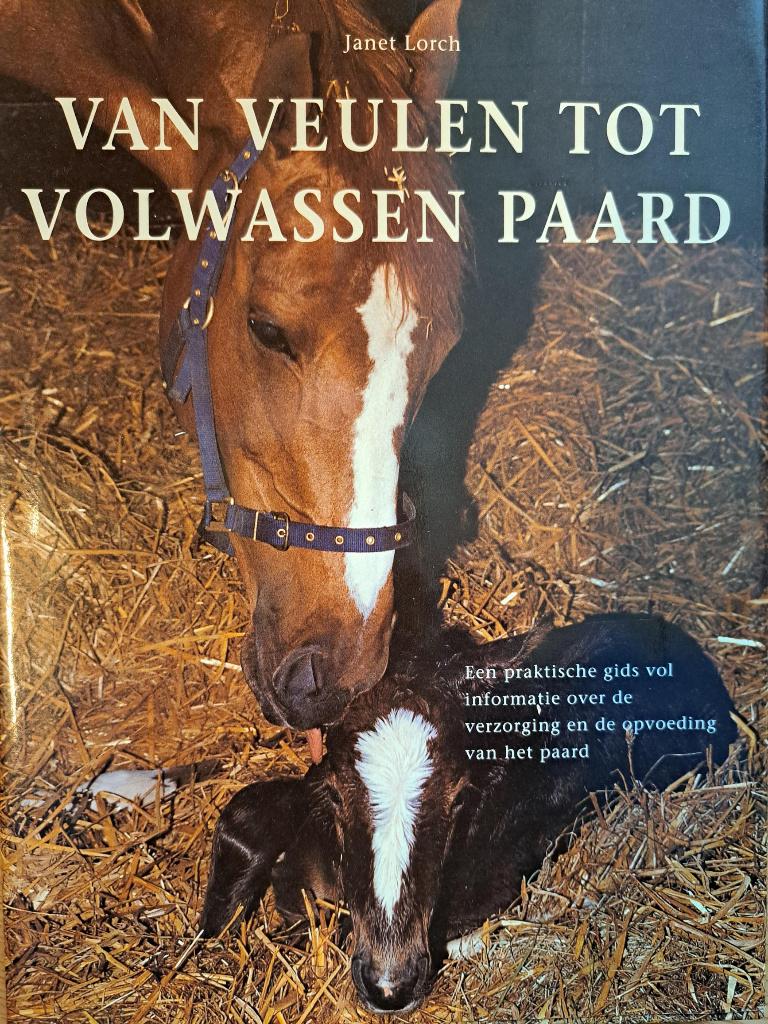 Van veulen tot volwassen paard, Janet Lorch, Ophalen of Verzenden, Zo goed als nieuw, Paarden of Pony's