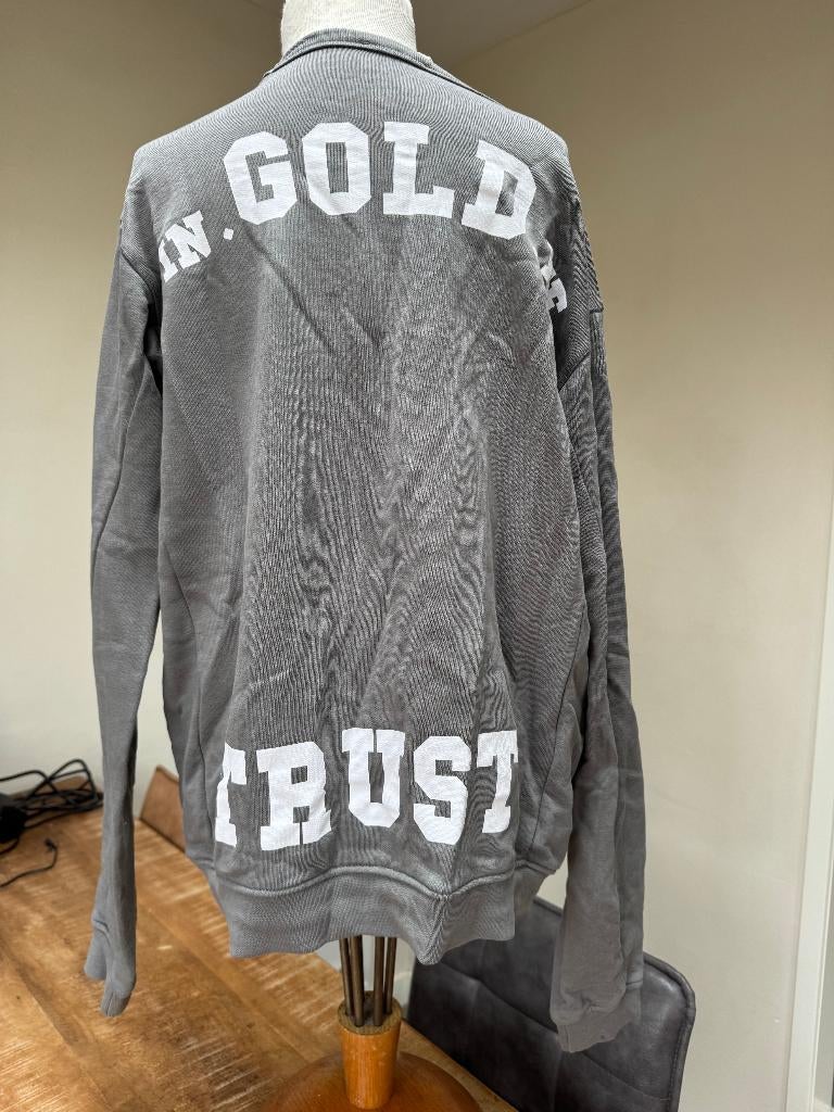 IN GOLD WE TRUST sweater nieuw grijs maat 176 DN, Meisje, Trui of Vest, Nieuw, Ophalen of Verzenden