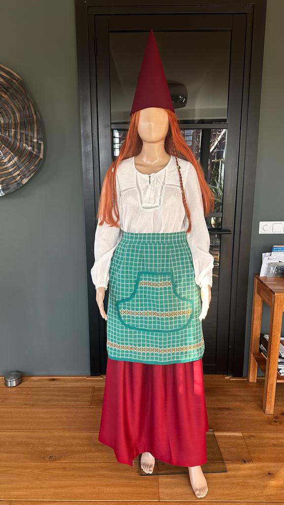 Carnavalskostuum kabouter / gnome / hobbitcore, Kleding | Dames, Carnavalskleding en Feestkleding, Zo goed als nieuw, Kleding