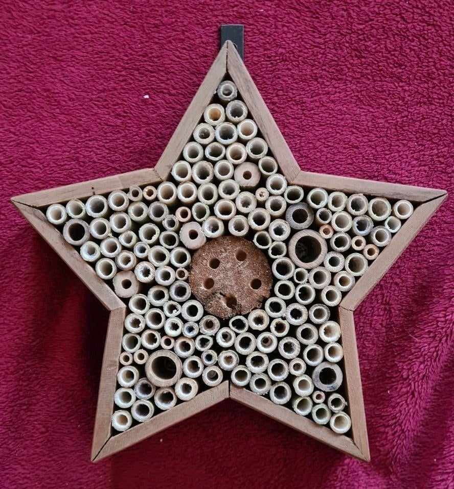 Insectenhotel, bijenhotel. Model ster., Ophalen of Verzenden, Nieuw