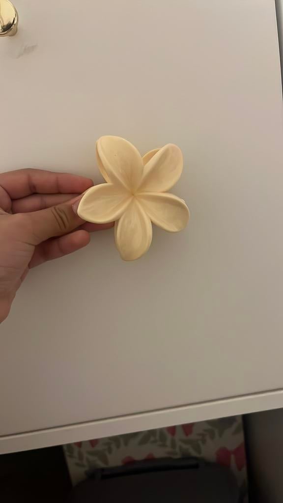 Hibiscus, Ophalen of Verzenden, Zo goed als nieuw