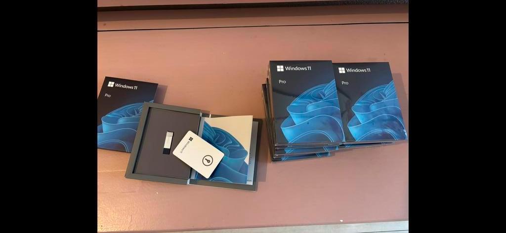 OP = OP !!!  Windows 11 Pro. Keycard ( licentie) met USB, Ophalen of Verzenden, Zo goed als nieuw, Overige typen