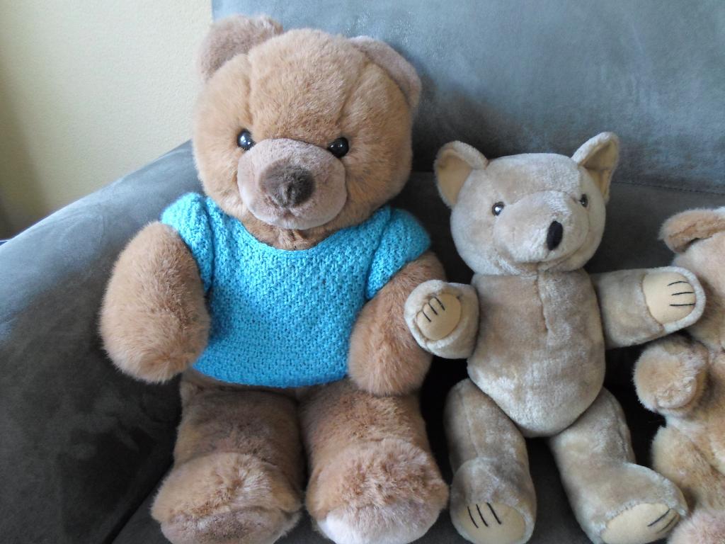 Beren   verzamelen.     Uitzoeken   of  alles   25   euro., Verzamelen, Beren en Cherished Teddies, Ophalen of Verzenden, Zo goed als nieuw