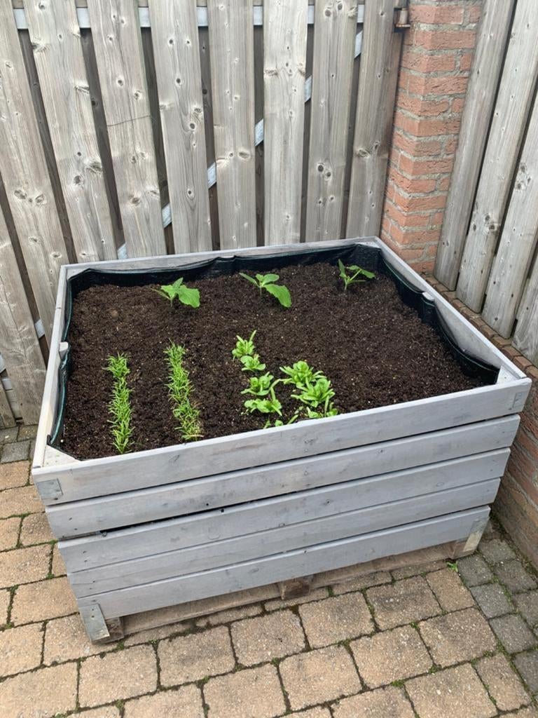 fruitkisten moestuinbakken plantenbak bloembak houtopslag, Ophalen, Gebruikt, 100 cm of meer, Vierkant