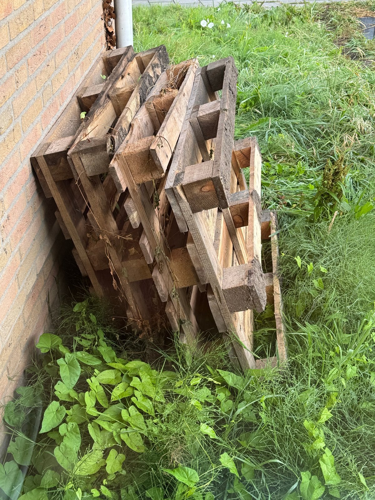 4 gratis pallets, Doe-het-zelf en Verbouw, Hout en Planken, Ophalen, Gebruikt, Pallet, Minder dan 200 cm