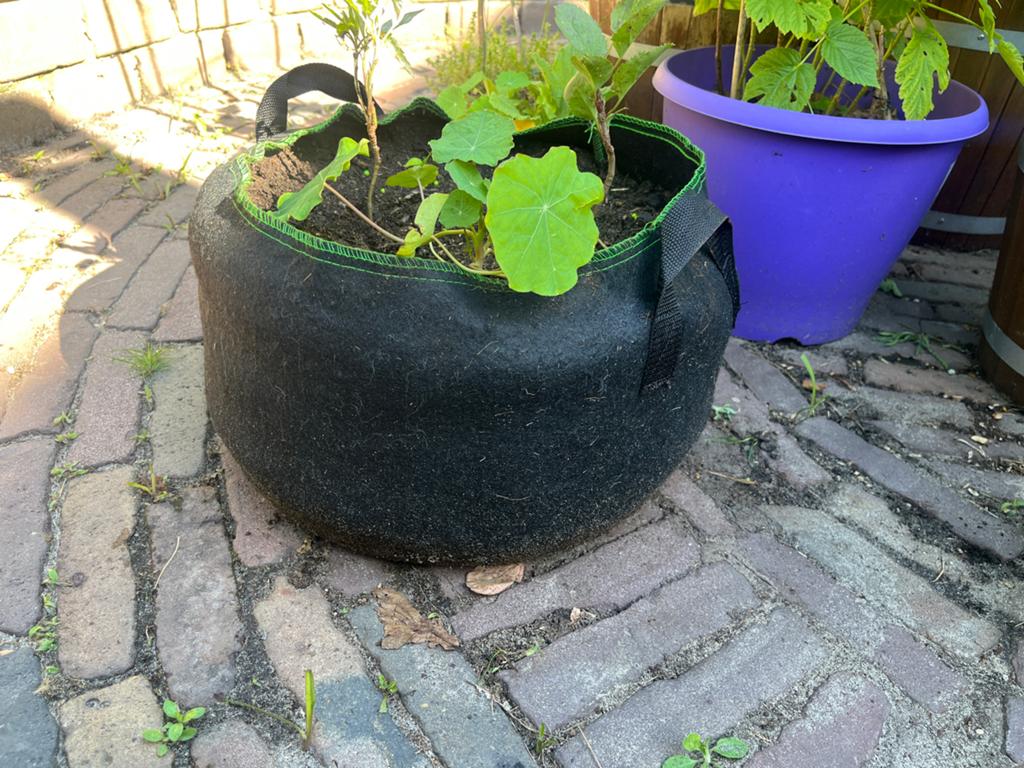 Zwarte stoffen plantenzak/kweekzak met handvatten, Overige materialen, Rond, Nieuw, Minder dan 40 cm