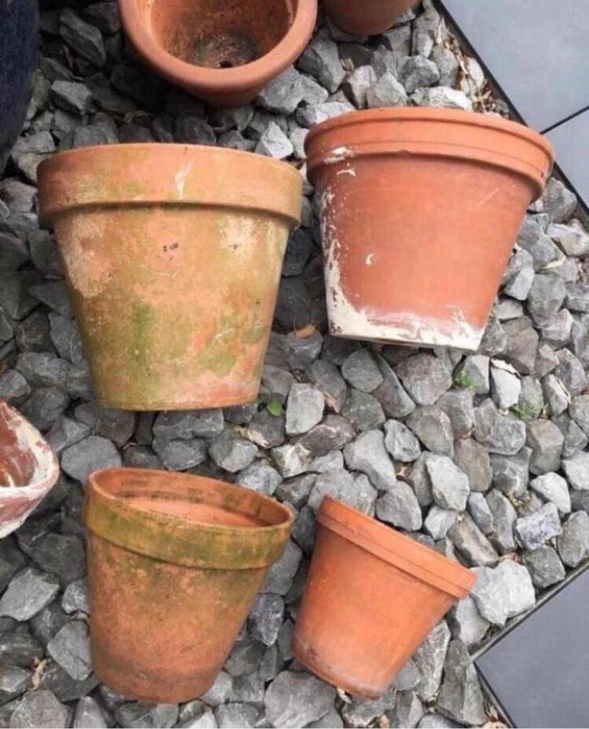 Diverse gebruikte terracotta bloempotten, Tuin en Terras, Bloempotten, Gebruikt, Terracotta, Binnen, Minder dan 40 cm, 25 tot 40 cm