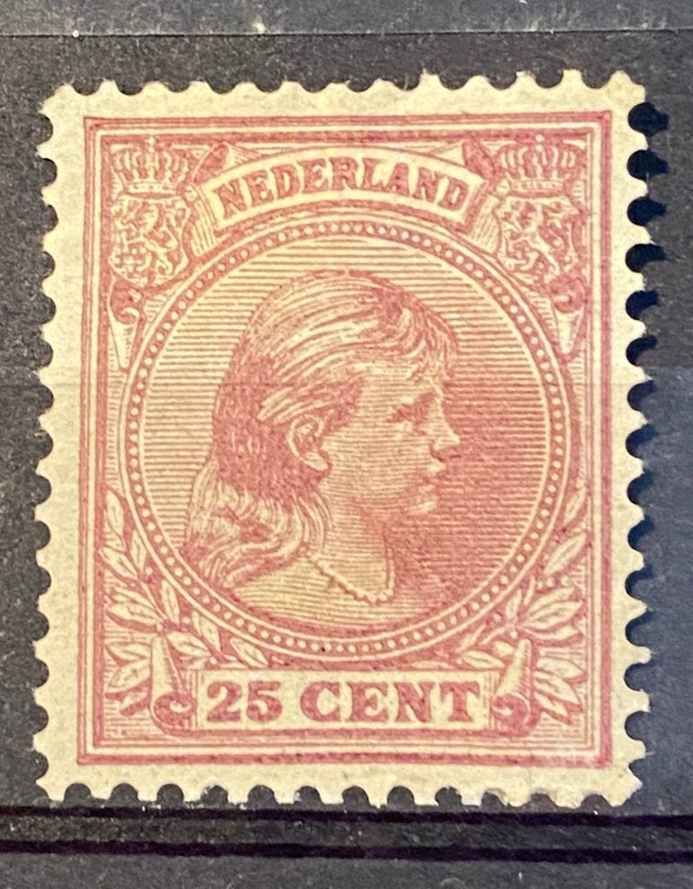 Nederland nvph 42 mooi ongebruikt, Ophalen of Verzenden, T/m 1940, Postfris