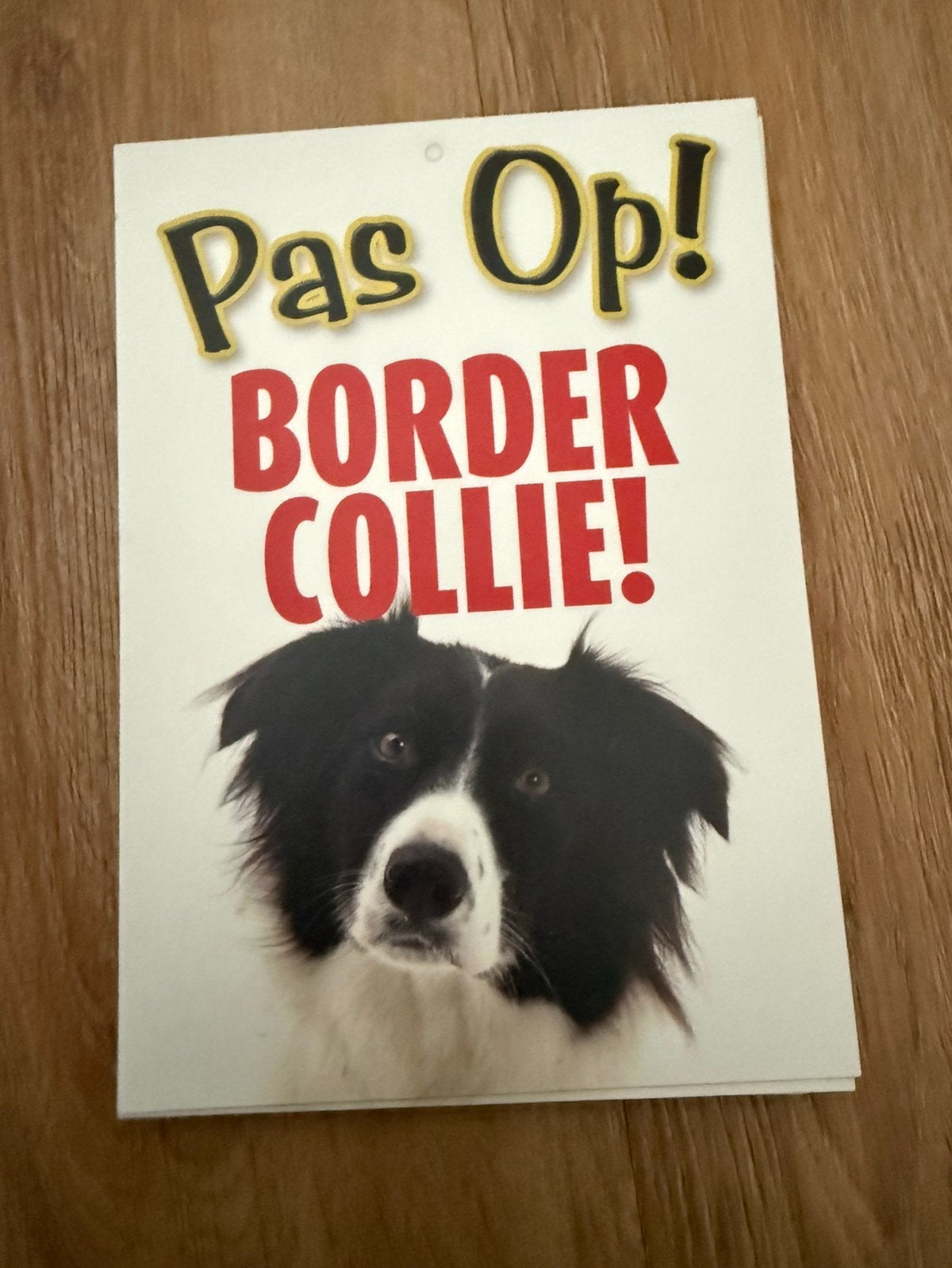Waakbord border collie, Ophalen of Verzenden, Nieuw