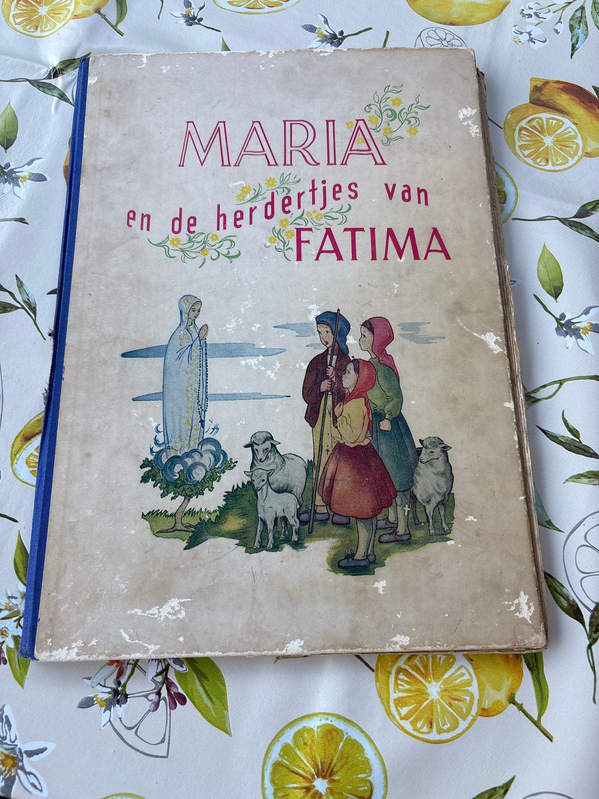 Maria en de herderjes van Fatima - Oud kinderboek, Ophalen of Verzenden, Gelezen, Christendom | Katholiek