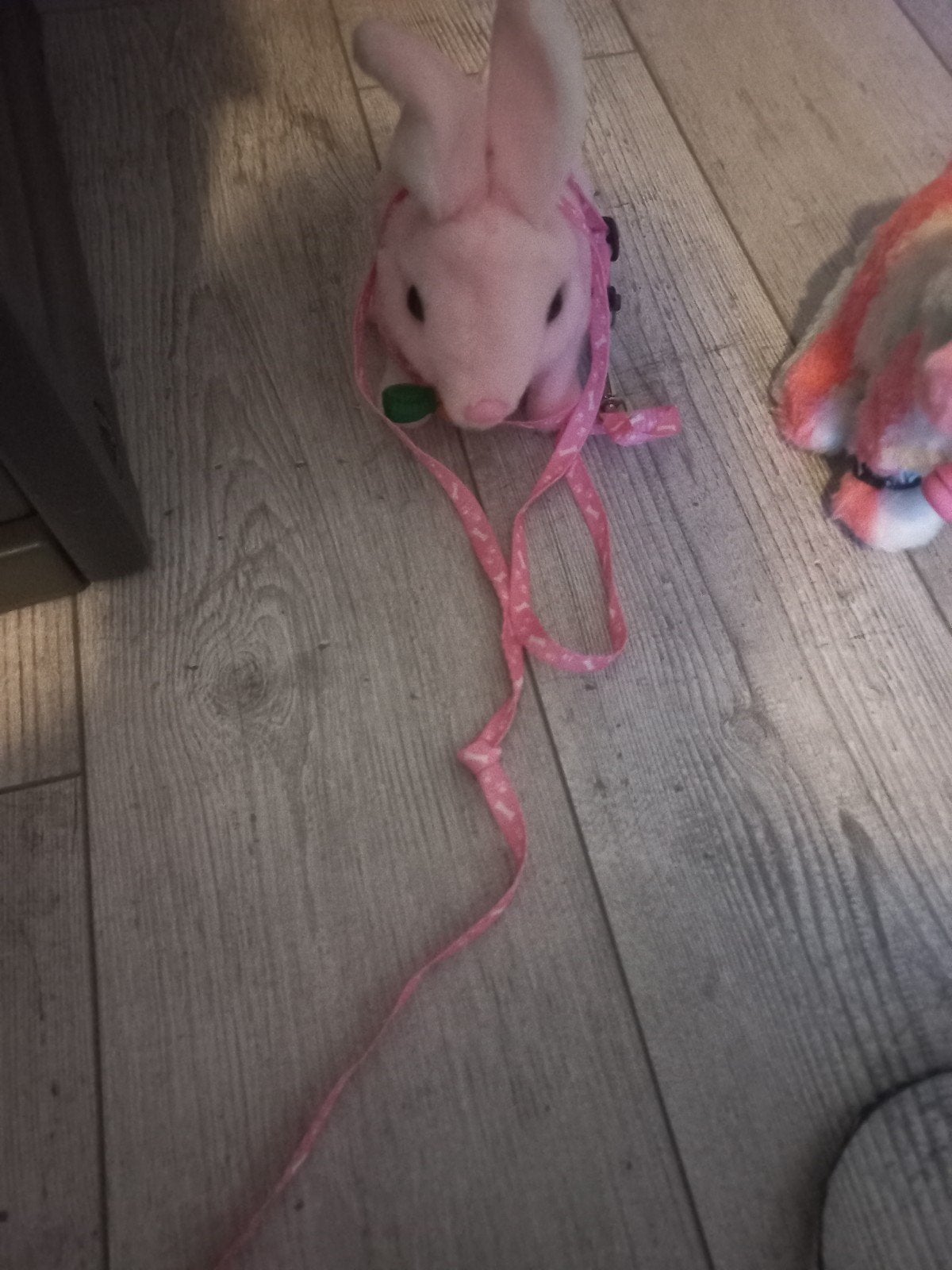 Roze interactief konijn met riem, Ophalen of Verzenden