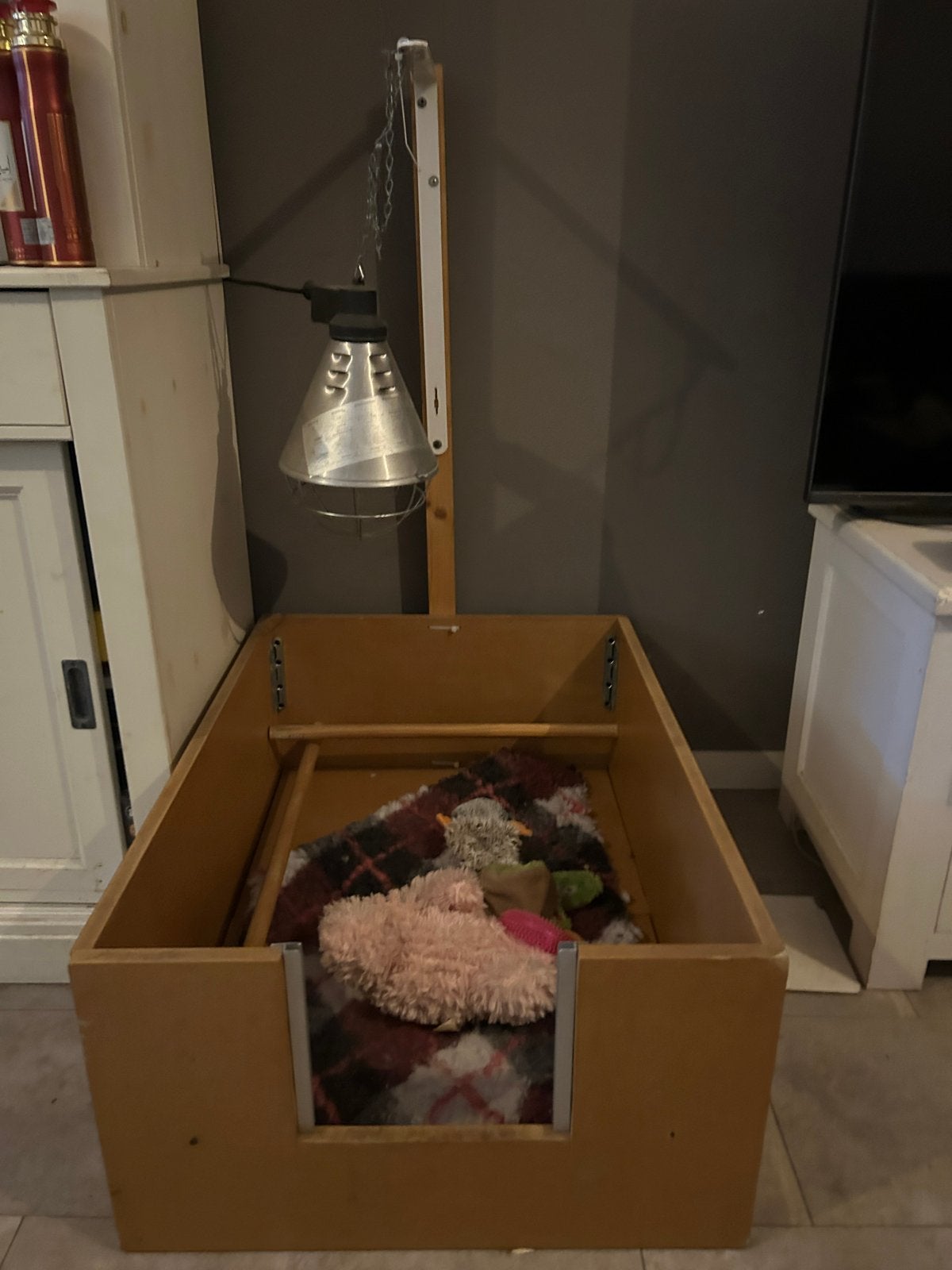 Werpkooi met warmte lamp en vetdeken, Ophalen of Verzenden