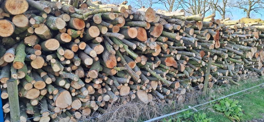 Haardhout Elzen/Berken Mix, Tuin en Terras, Haardhout, 6 m³ of meer, Ophalen, Elzenhout, Stammen