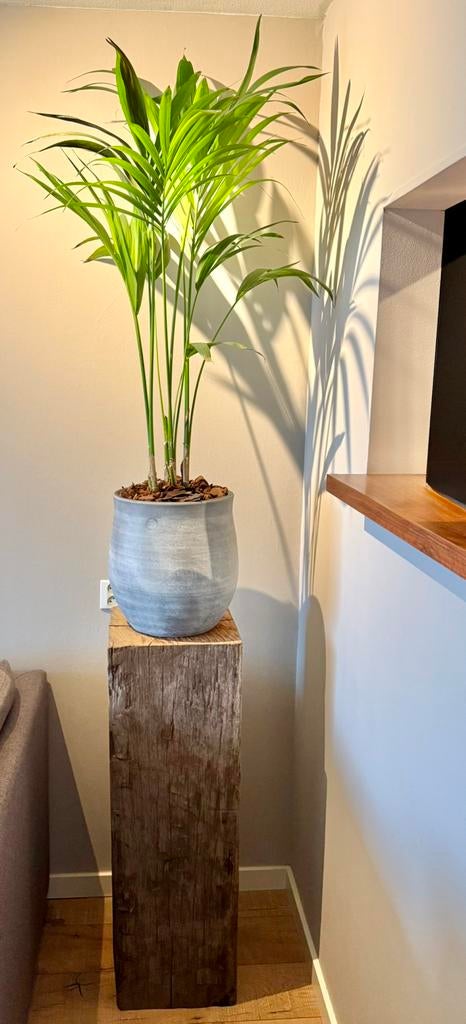 Robuuste massief houten sokkel / zuil / meerpaal, Huis en Inrichting, Woonaccessoires | Zuilen en Pilaren, Ophalen, Nieuw