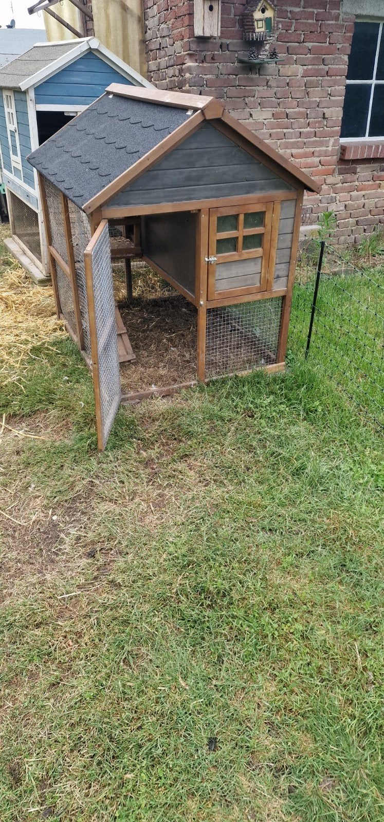 Kippenhok met ren en leghok, Dieren en Toebehoren, Pluimvee | Toebehoren, Ophalen of Verzenden, Kippenhok of Kippenren