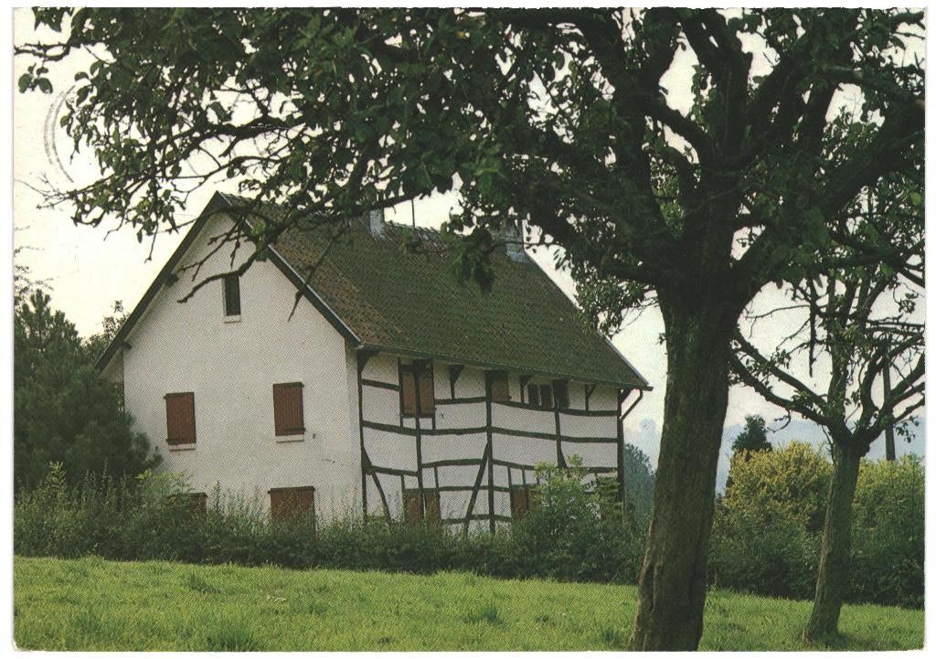 993266 Vakwerkhuisje 80+ Limburg _ mooie postzegel Drees, Ophalen of Verzenden, 1980 tot heden, Gelopen, Noord-Brabant