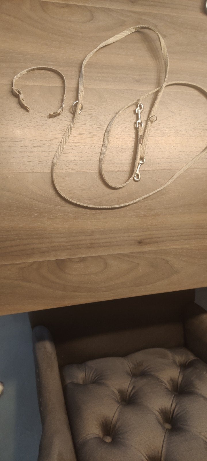 prachtige Hondenhalsband, Ophalen of Verzenden, Zo goed als nieuw