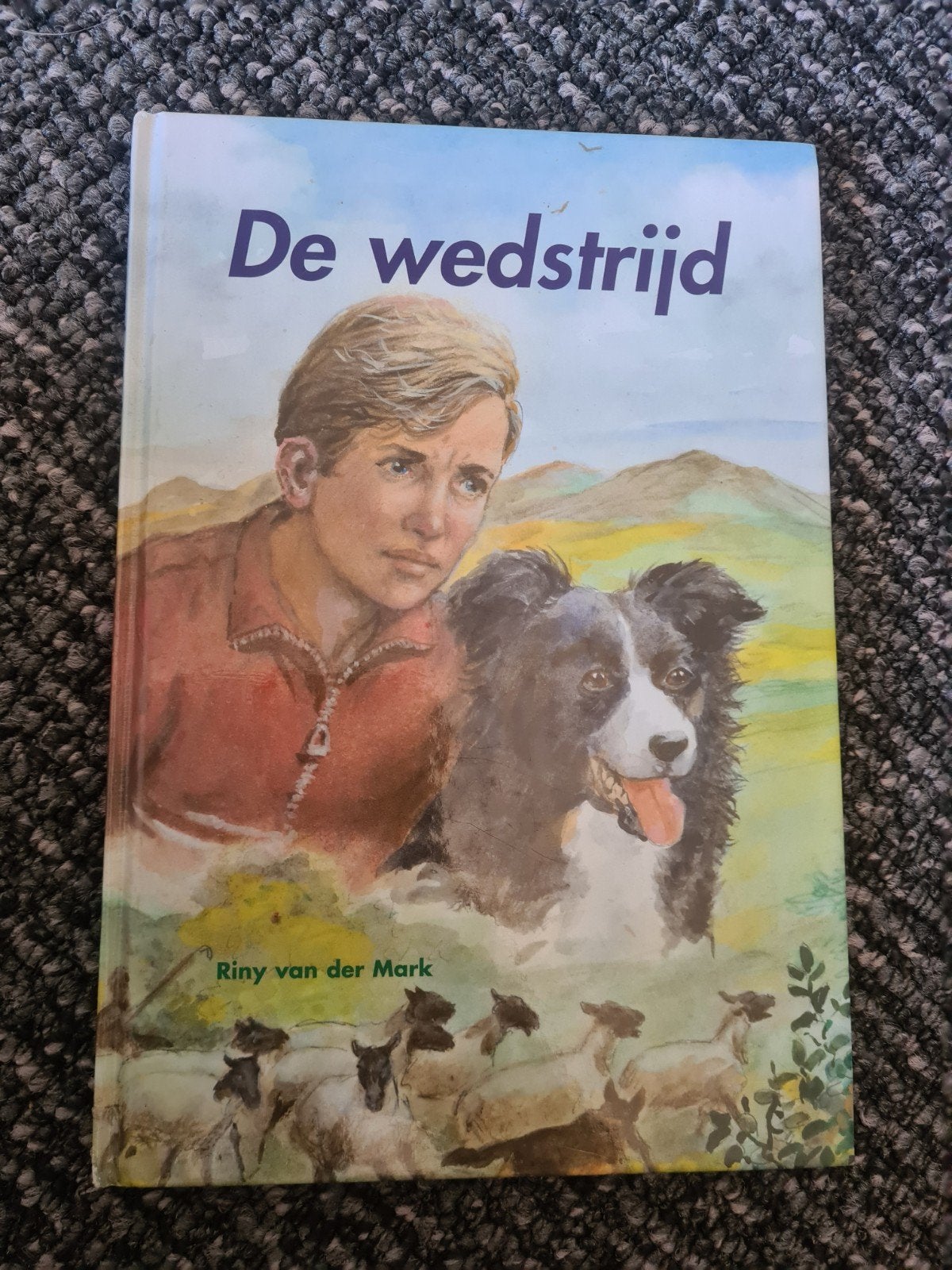 De Wedstrijd - Riny van der Mark (De Leeslamp), Boeken, Ophalen of Verzenden, Gelezen, Riny van der Mark, Fictie