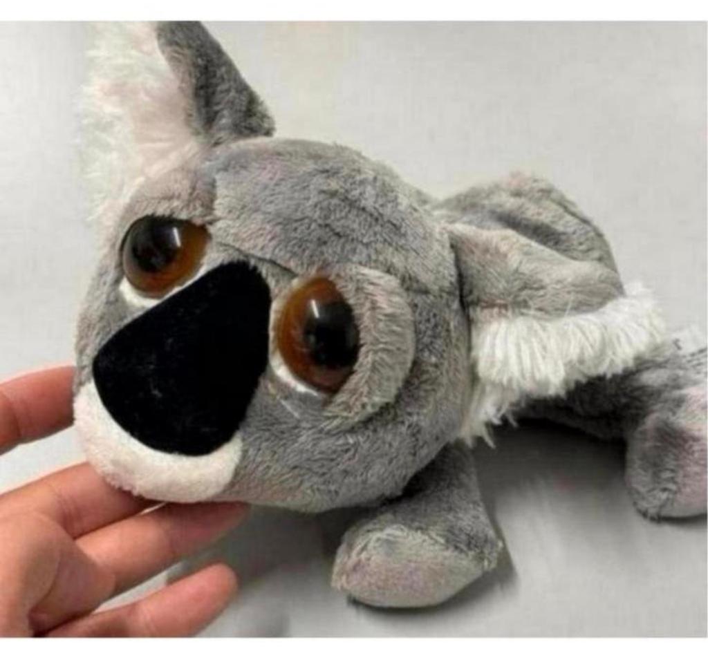 Russ Li'L Peepers Koala-beer 25cm Misha koalabeer knuffel, Kinderen en Baby's, Speelgoed | Knuffels en Pluche, Overige typen, Grijs