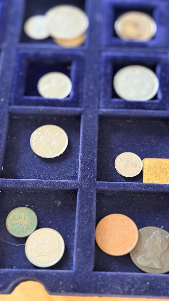 Verzameling van diverse munten in luxe cassette, Ophalen of Verzenden, Koningin Wilhelmina, Overige waardes, Losse munt