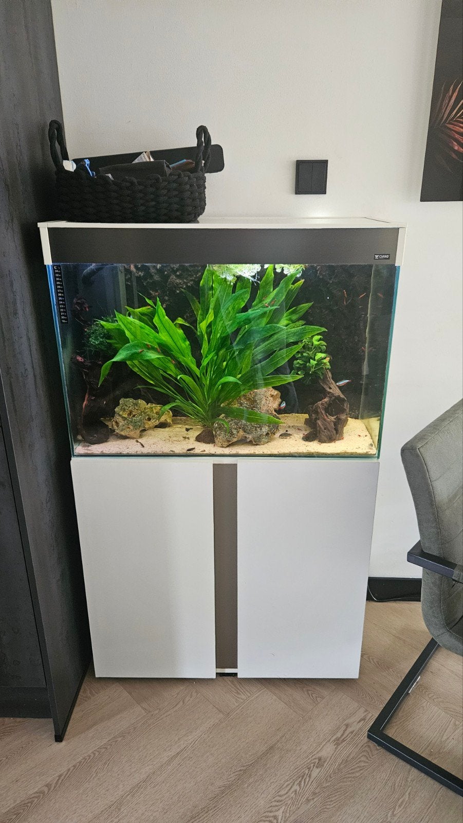 Ciano Aquarium 150 liter, Dieren en Toebehoren, Vissen | Aquaria en Toebehoren, Ophalen, Gebruikt, Leeg aquarium