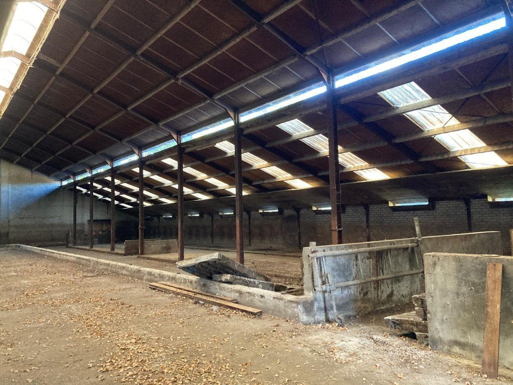 Stalen spanten voormalig stal en schuur, Ophalen, Gebruikt, IJzer
