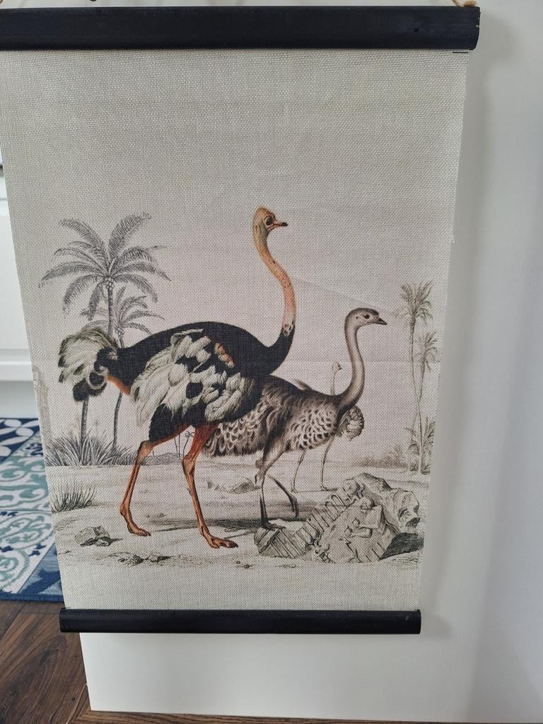 Struisvogel doek, Ophalen of Verzenden, Hout