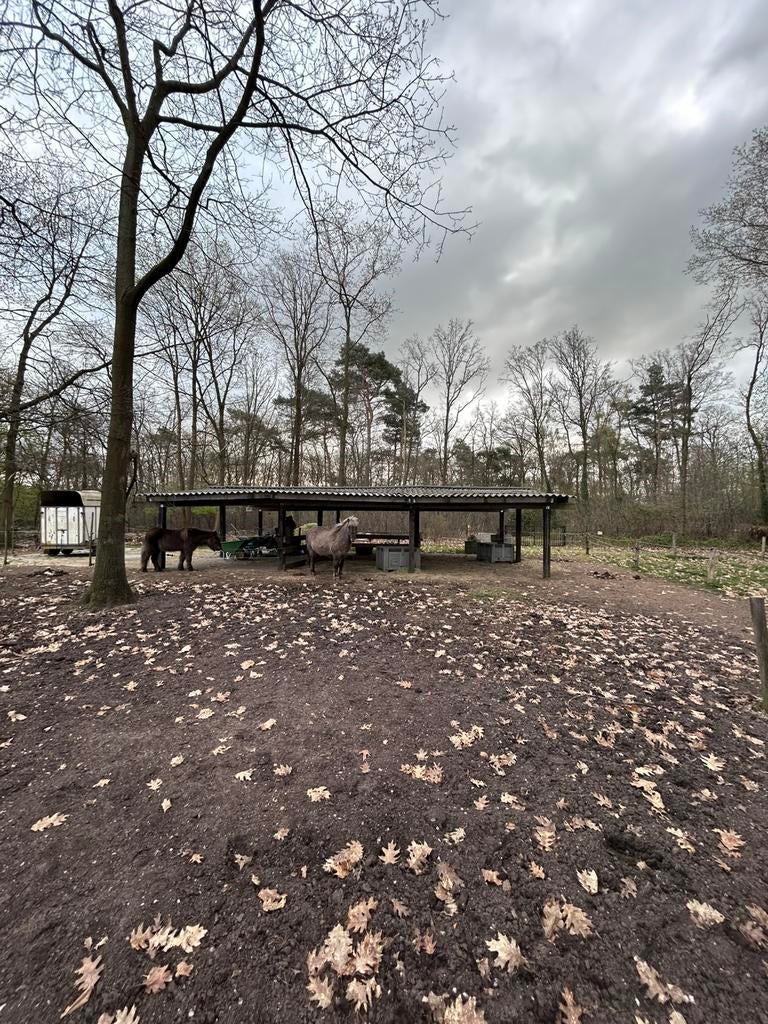Grote schuilstal 8 x 14, Dieren en Toebehoren, Stalling en Weidegang, Stalling, 4 paarden of pony's of meer