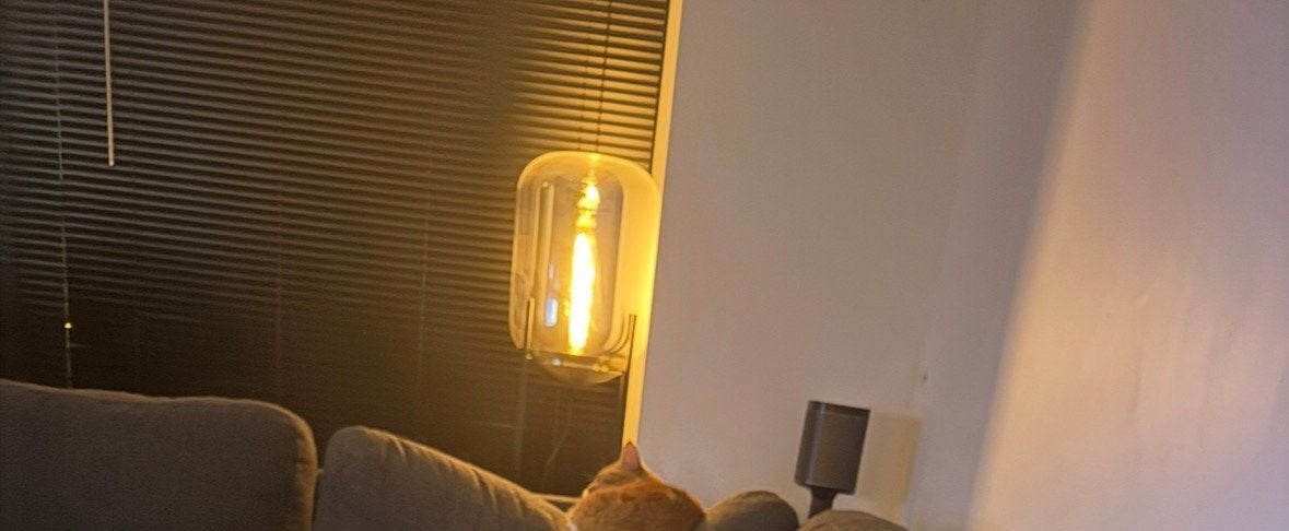 Vloerlamp met rookglas, Ophalen, Zo goed als nieuw, Kunststof, 100 tot 150 cm