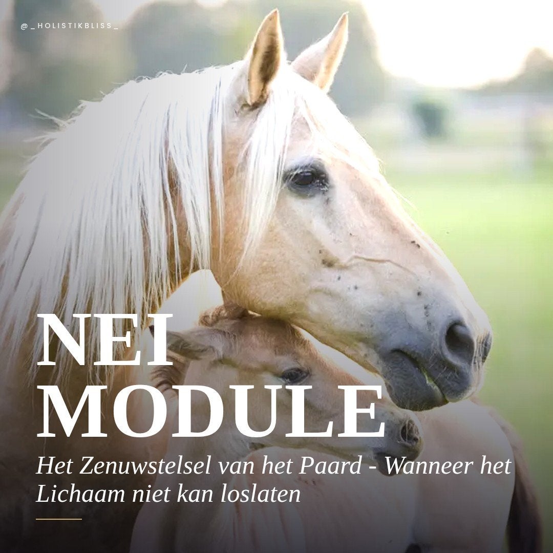 Biotensor werkmodellen, Nei-modules, Ophalen of Verzenden, Beta, Nieuw