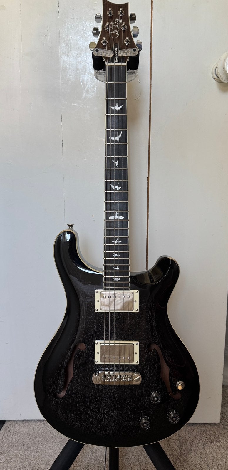 PRS SE Hollowbody Standard Piezo | Dog Hair | Incl. Hardcase, Muziek en Instrumenten, Snaarinstrumenten | Gitaren | Elektrisch