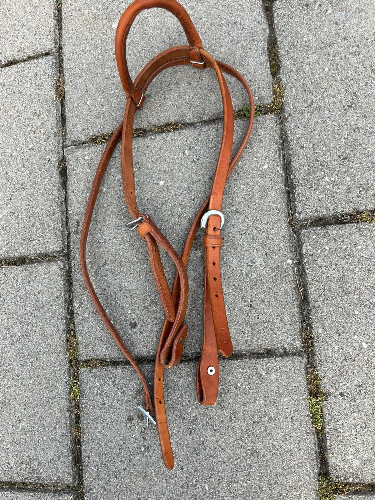 Western hoofdstel, Ophalen of Verzenden, Nieuw, Western