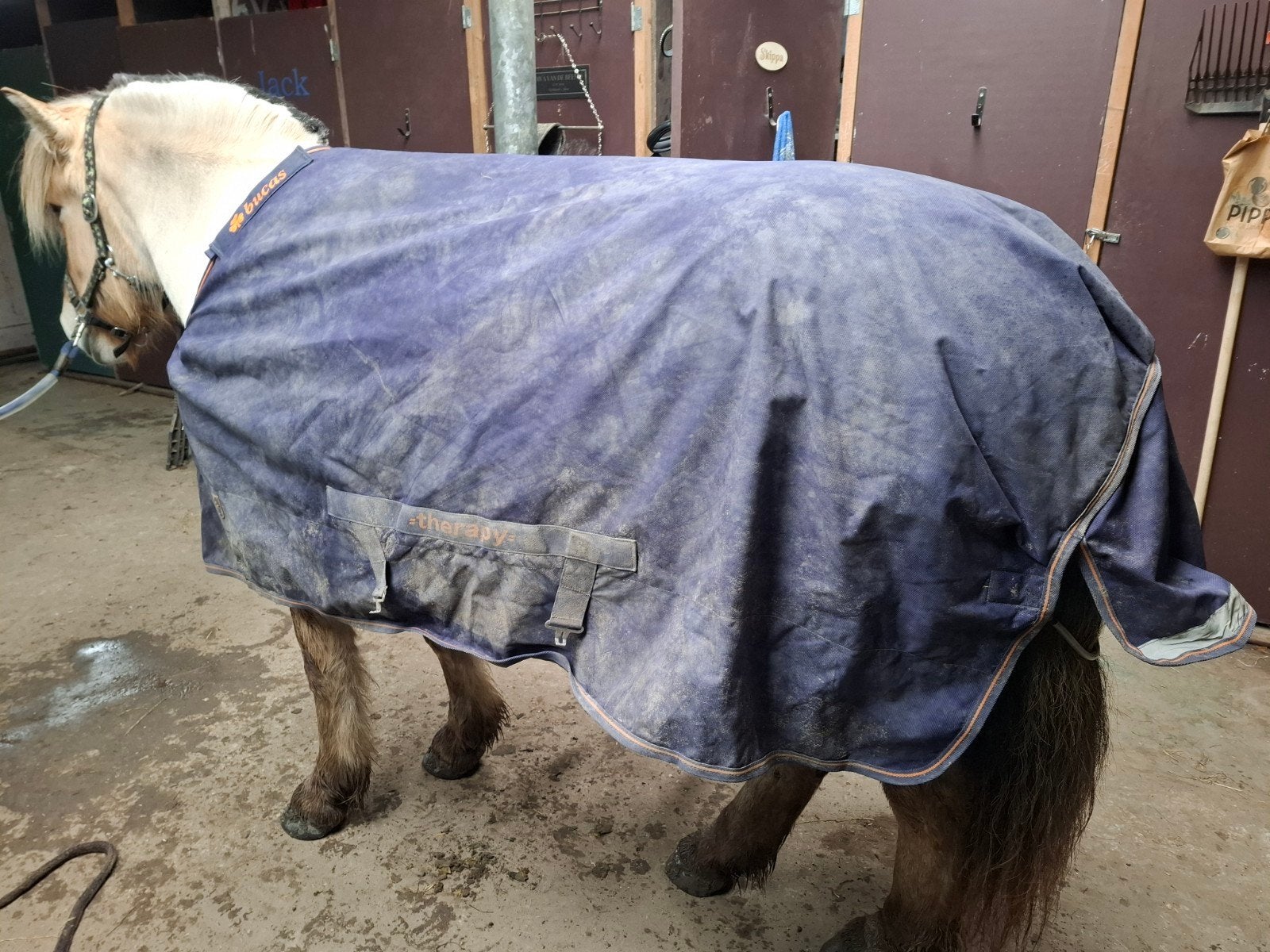 bucas Recuptex Therapy turnout deken 6.3 / 191, Dieren en Toebehoren, Ophalen of Verzenden