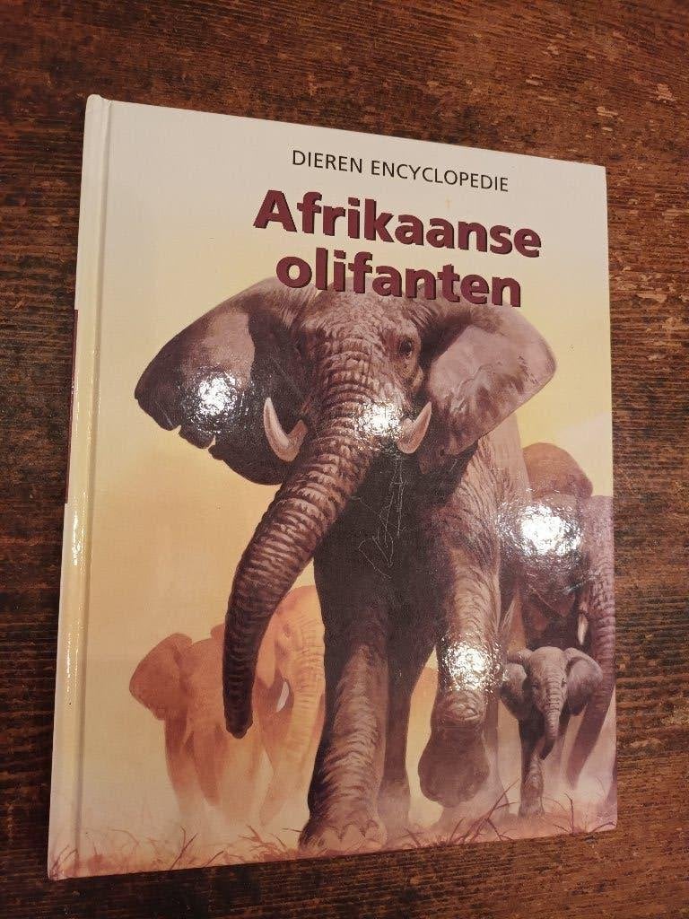 Boek over Afrikaanse olifanten, Ophalen of Verzenden, Gelezen, Overige diersoorten