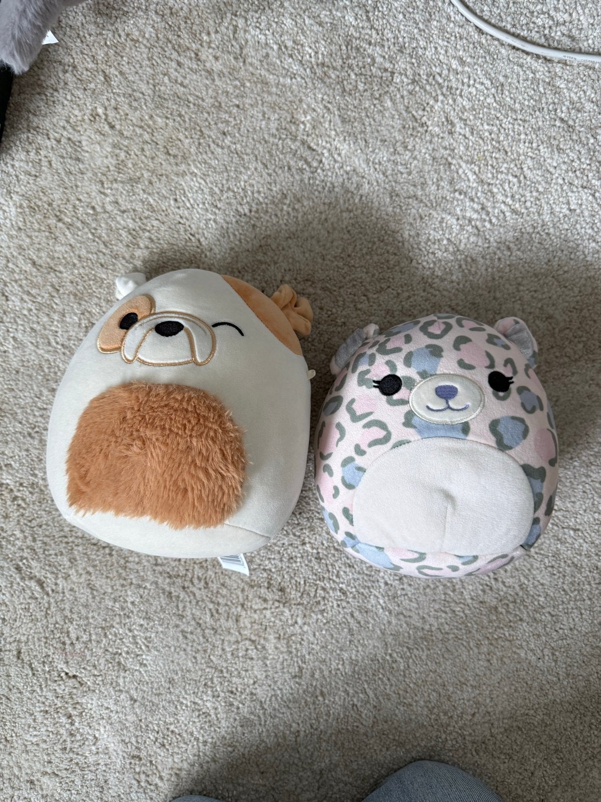 Squishmallows: Bruce de Bulldog & Dallas het Luipaard, Middelgroot (20 tot 80 cm), Hond, Ophalen of Verzenden, Met label
