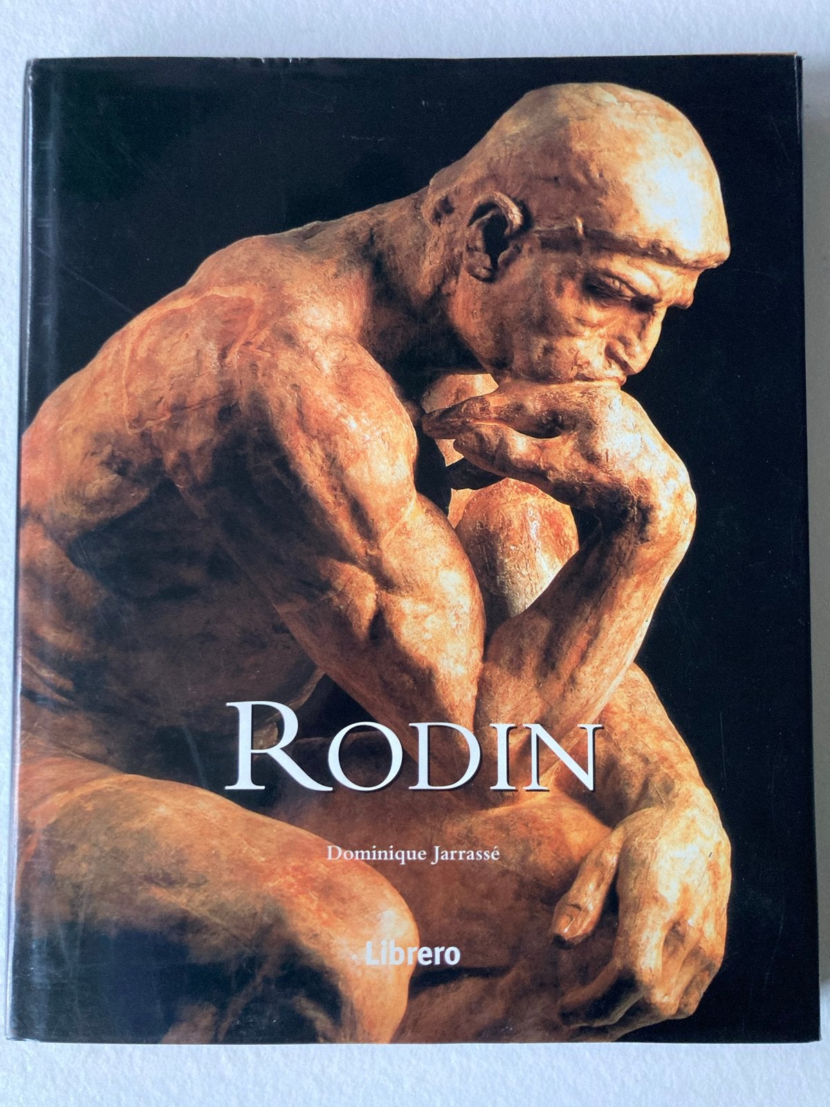 Rodin - Dominique Jarrassé - Kunstboek Beeldhouwkunst, Ophalen of Verzenden, Zo goed als nieuw, Beeldhouwkunst