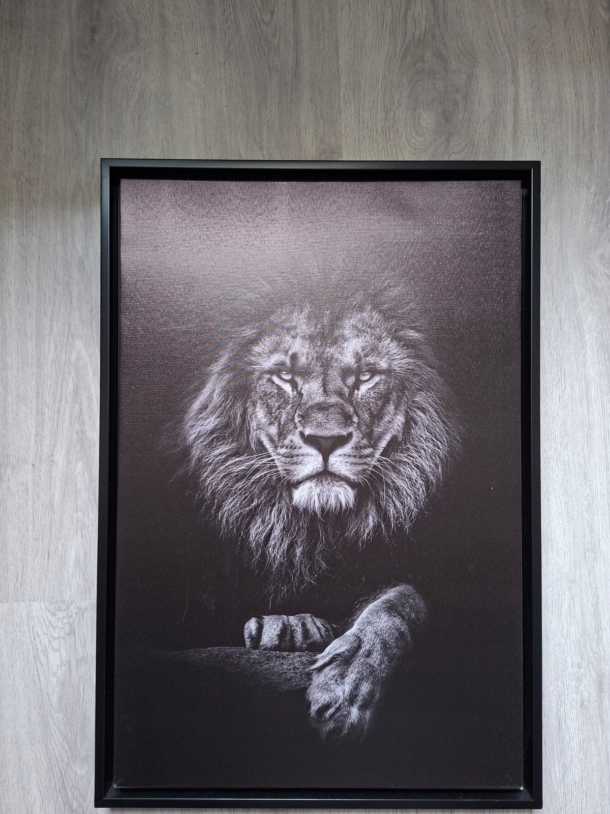 Prachtige Leeuwen Canvas Schilderij - Zwart-Wit, Ophalen of Verzenden, Zo goed als nieuw, Schilderij, 75 – 100