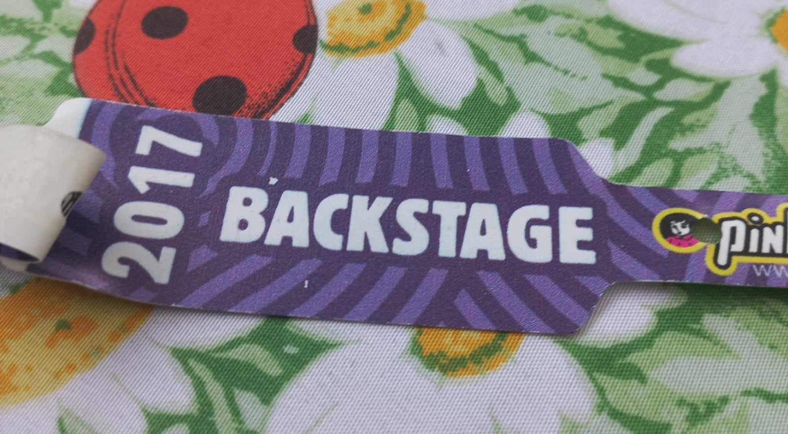Pinkpop 2017 Backstage bandje, Tickets en Kaartjes, Evenementen en Festivals, Eén persoon