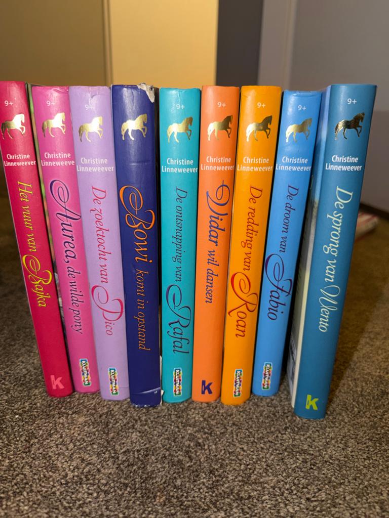 Verschillende boeken van Christine Linneweever, Boeken, Ophalen of Verzenden, Gelezen, Fictie