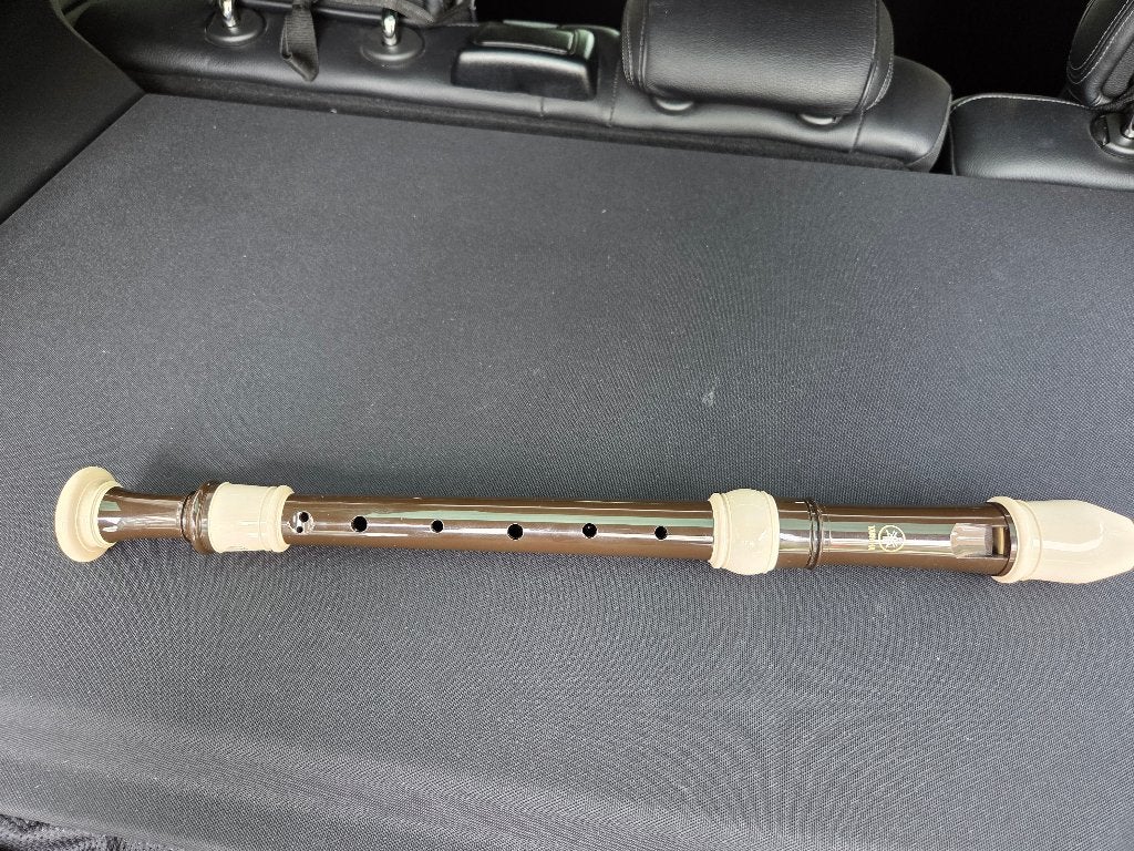 Yamaha  fluit, Ophalen, Klassiek, Les of Cursus, Overige instrumenten