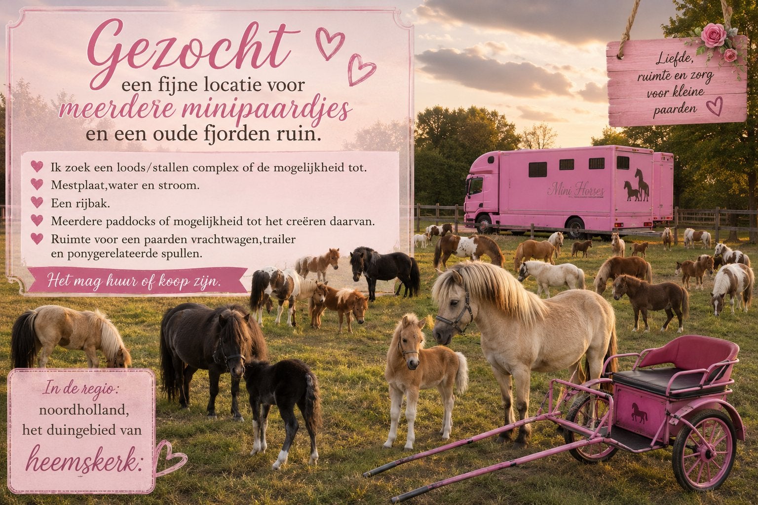 Heemskerk e.o eigen plek voor pony’s., Dieren en Toebehoren, Stalling en Weidegang, Weidegang, 4 paarden of pony's of meer