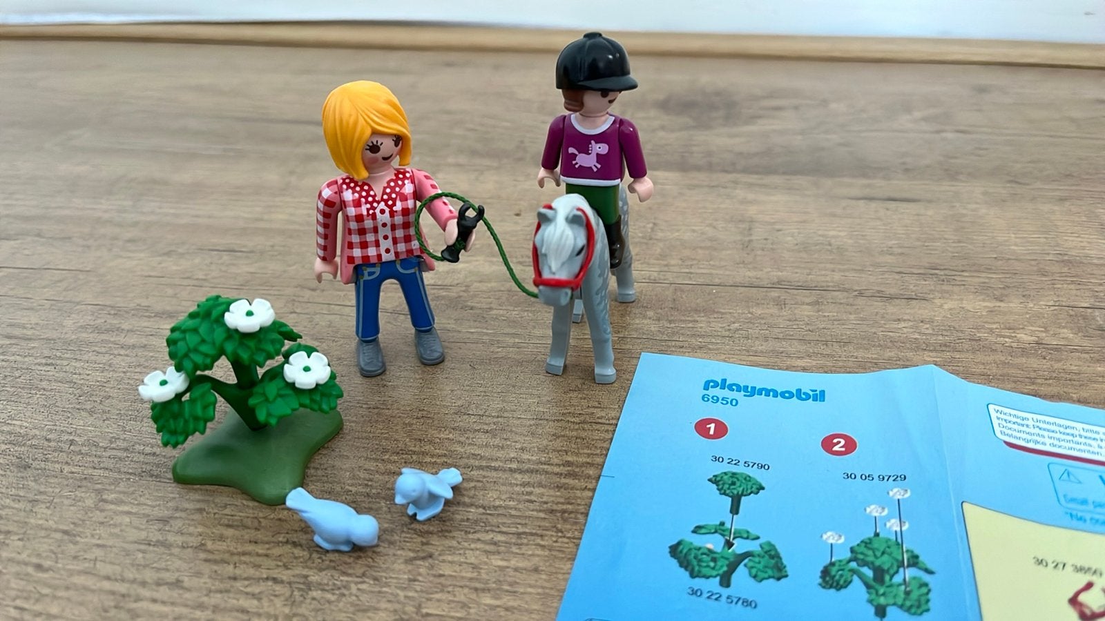 Playmobil 6950 Ponyrijden met begeleider, Ophalen of Verzenden, Gebruikt