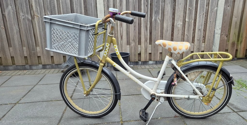 Fiets, Fietsen en Brommers, Ophalen of Verzenden, Gebruikt, Terugtraprem, 20 inch