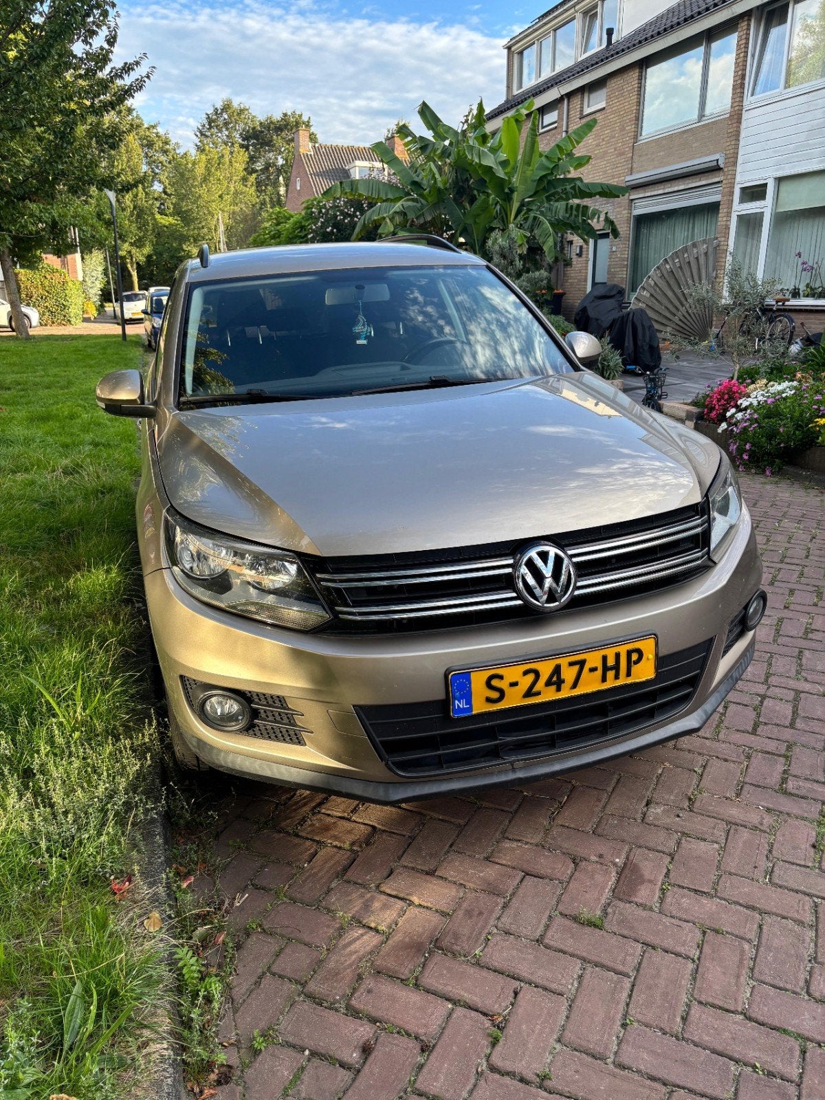 Volkswagen Tiguan 1.4 TSI 90KW BMT 2014, Auto's, Voorwielaandrijving, Zwart, 4 cilinders, 122 pk