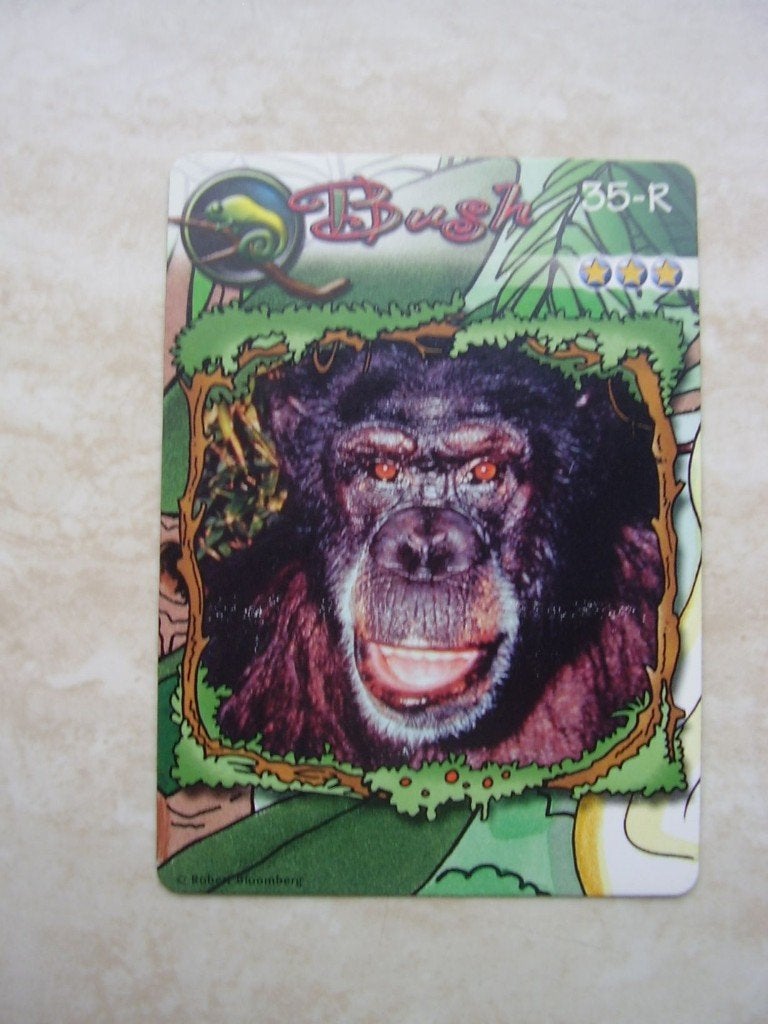 Plaatjes 30 Jetix 3D jungle cards, Ophalen of Verzenden, Nieuw, Meerdere plaatjes